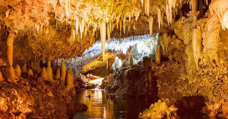 Image, photo de Harrison's Cave.