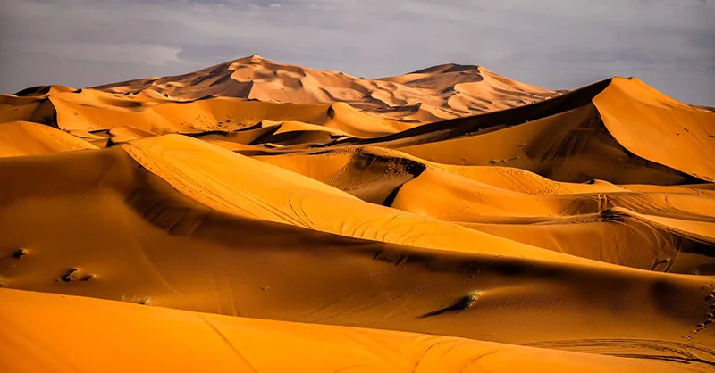 Image, photo représentant le désert du Sahara : silence et puissance.